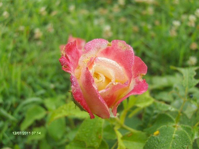 064 - 07_IULIE