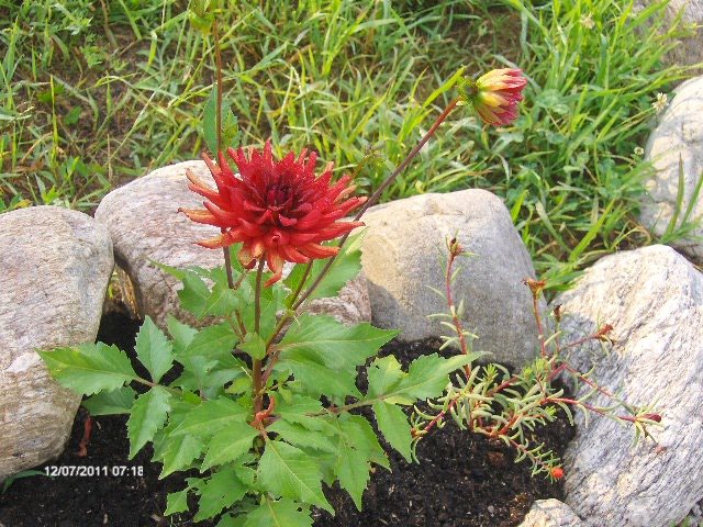 069 - 07_IULIE