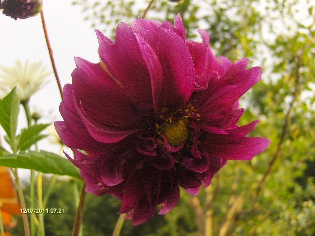 072 - 07_IULIE