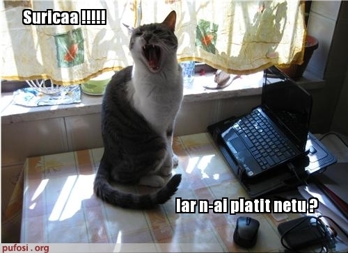 poze-amuzante-deconectat-pentru-neplata