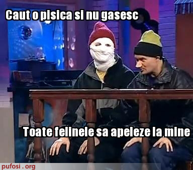 poze-amuzante-dorel-si-mirel-cauta-o-pisica