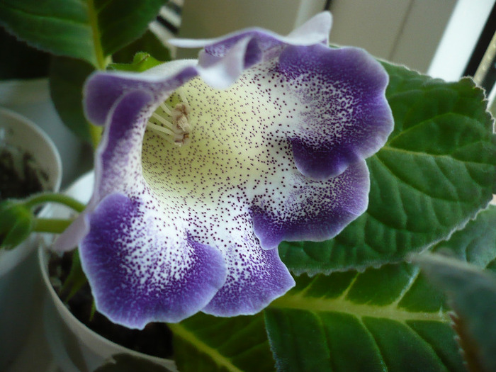 P1080655