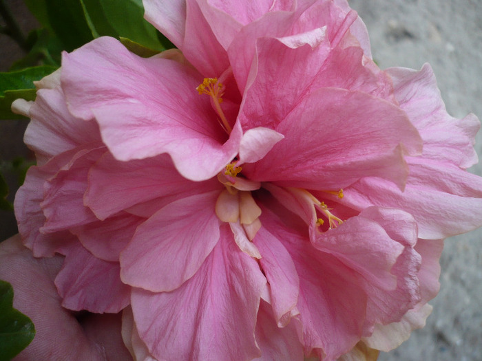 P1080697