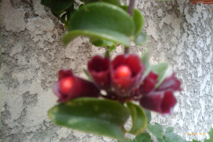 IMAG0932