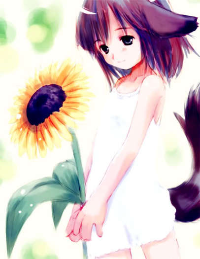 anime_neko - ANIME - Sunflower