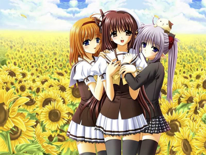 friends05 - ANIME - Sunflower