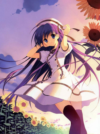 Sunflowers - ANIME - Sunflower