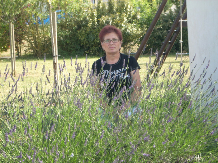 Photo 680 NU SE POATE CA O CASA DIN FRANTA SA NU AIBA SI TUFE DE LAVANDA ....SI FICA MEA ARE ! - VIZITA LA MIOARA ACASA 2