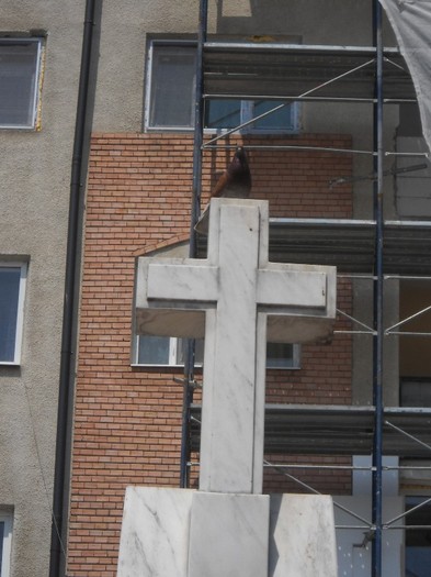 IN LIBERTATE DEPLINA - MINUNATII ALE LUMII