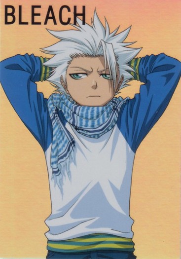 81049 - Hitsugaya Toushiro