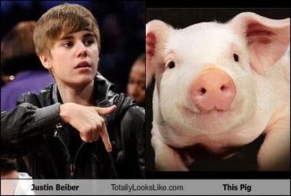 justin-beiber-totally-looks-like-this-pig - asemanari