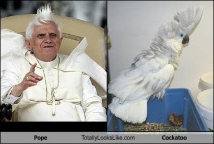 pope-totally-looks-like-cockatoo