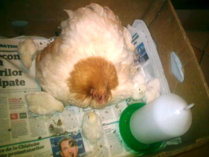 12072011; o mamica de exceptie
