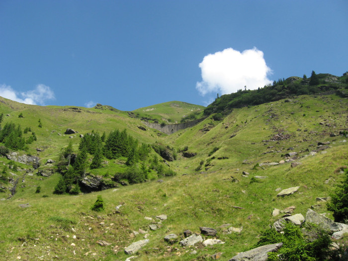 IMG_4068 - Transfagarasan