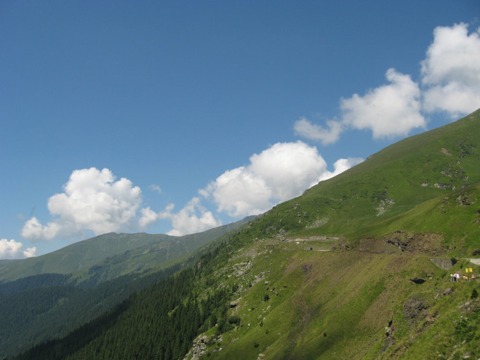 IMG_4091 - Transfagarasan