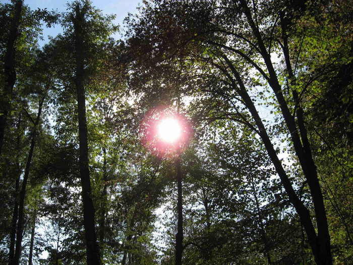 Image0032