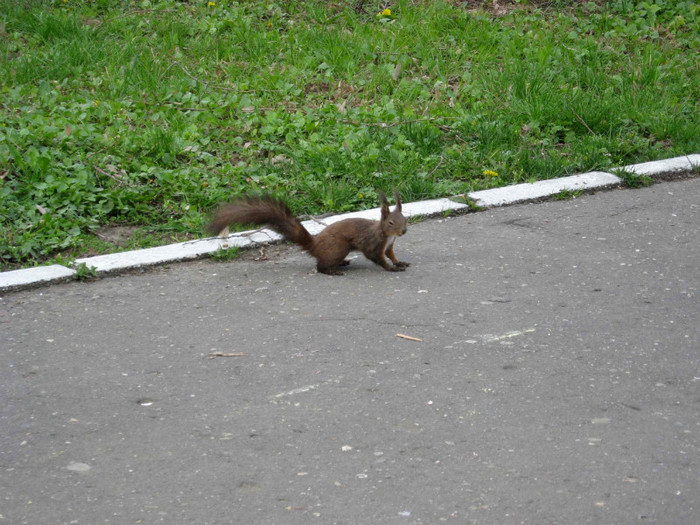 Image00067