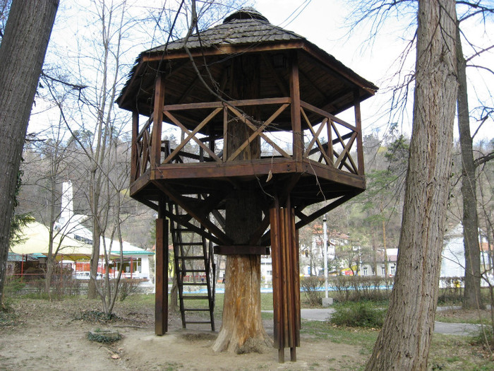 Image00074