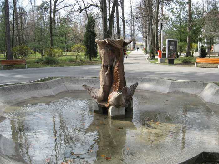 Zavoi..parcul..