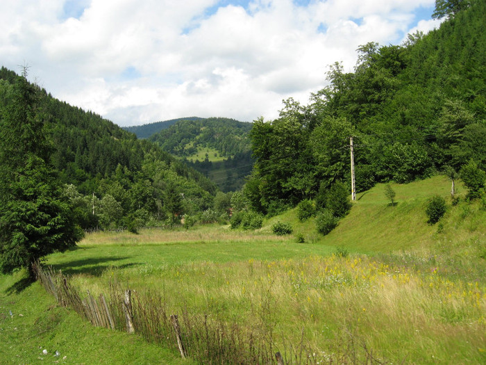 Valea Vaserului - Maramures Valea Vaserului