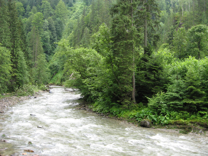 Vaserul.. - Maramures Valea Vaserului