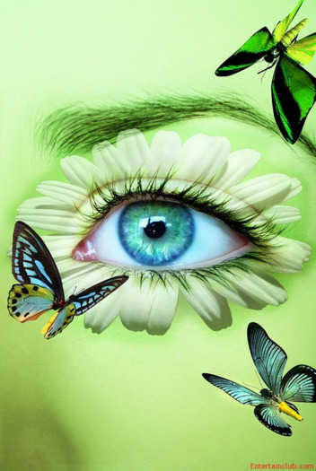 Incredible-and-Inspirational-Eyes-Art-8