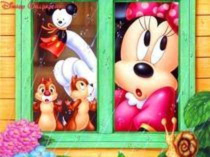 41255099_FUTIXKOUY - Poze Walt Disney