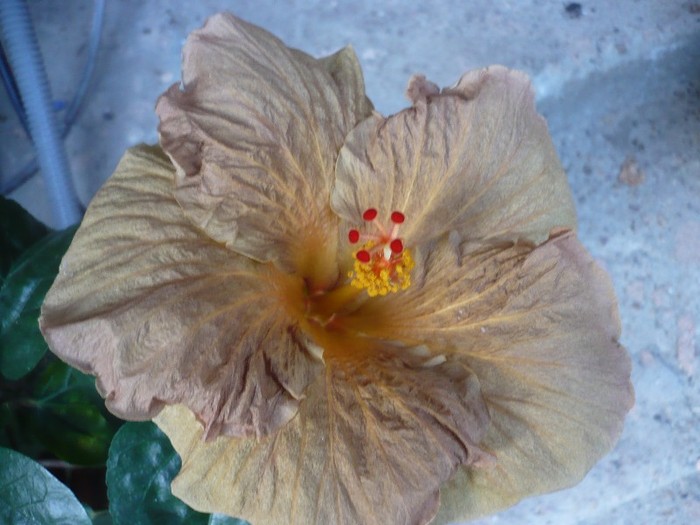 P1080707