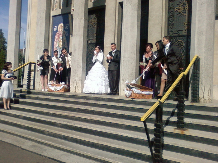  - weisse Tauben fur Hochzeiten