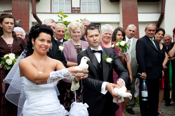 _MG_0628 - porumbei pentru nunti si alte evenimente TARGU MURES