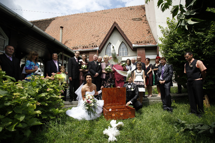 _MG_0608 - porumbei pentru nunti si alte evenimente TARGU MURES