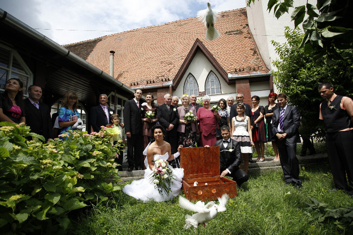 _MG_0609 - porumbei pentru nunti si alte evenimente TARGU MURES