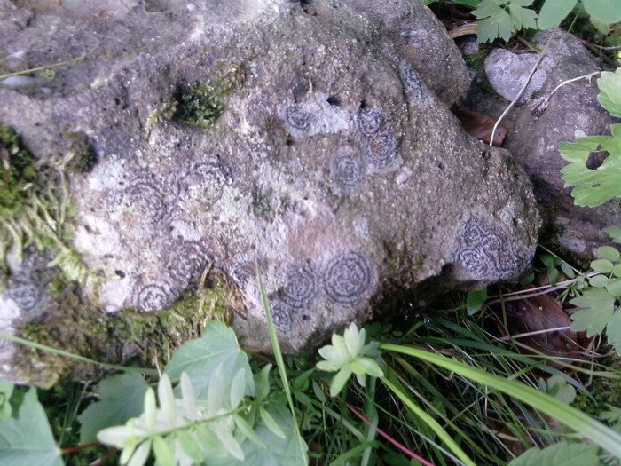 P140611_16.13 - poze cu mne