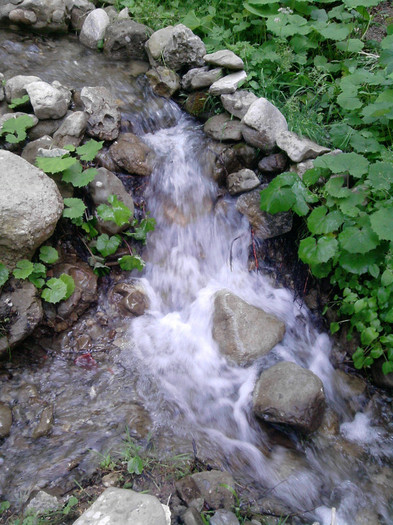 P140611_16.23 - poze cu mne