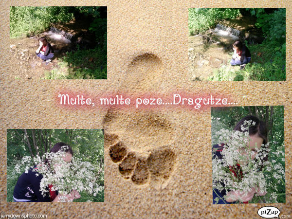 multe multe poze.....