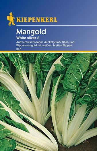 mangold - MANGOLD