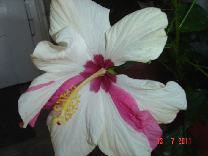 Picture 2102