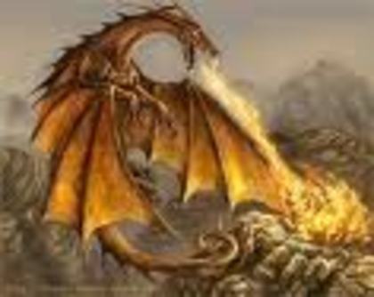 dragonul portocaliu - dragoni