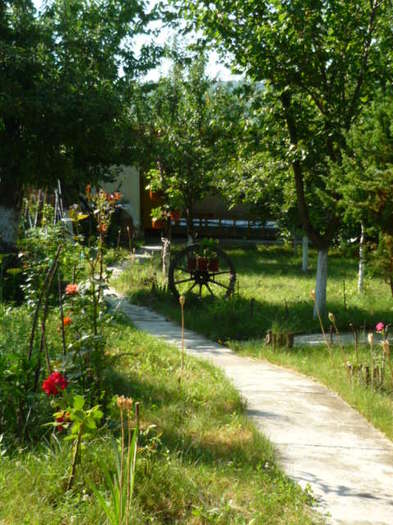 9 iulie 2011 - Vara