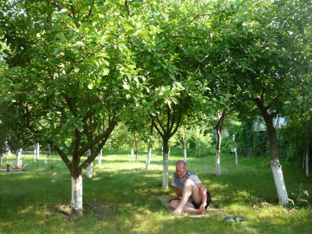 9 iulie 2011; somn dulce de dupa-amiaza la umbra merilor
