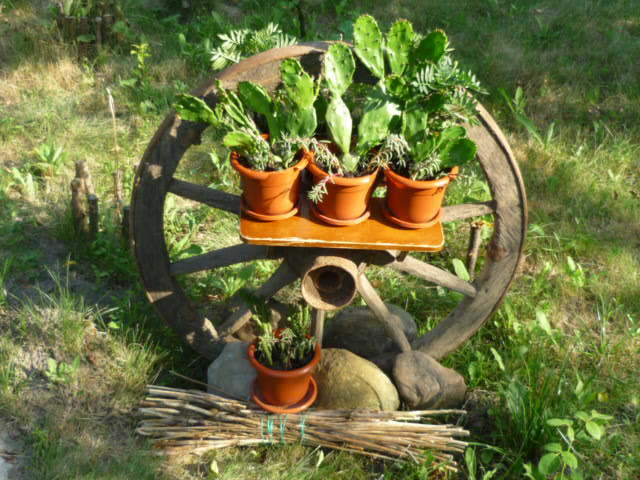 9 iulie 2011 - Vara