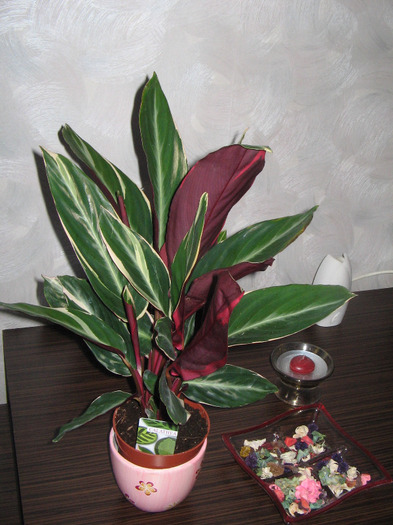 IMG_5037 - a Flori 2011