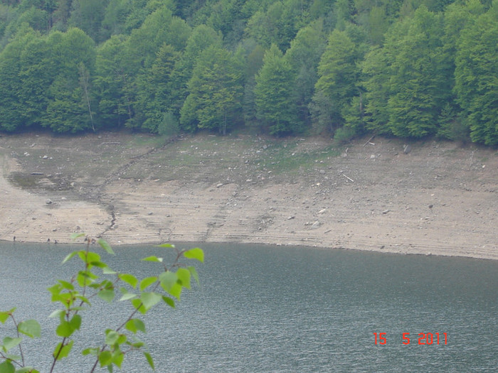 DSC00131