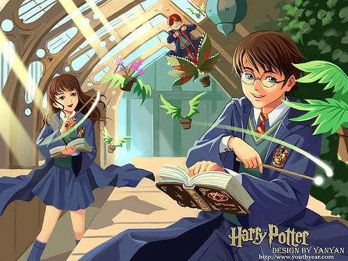 9 - FOR SYS FANHARRYPOTTERANDANIMEFOREVER