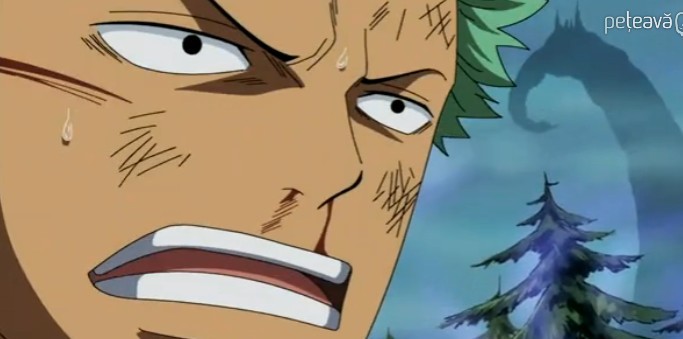 zoro. - One Piece ZoRo