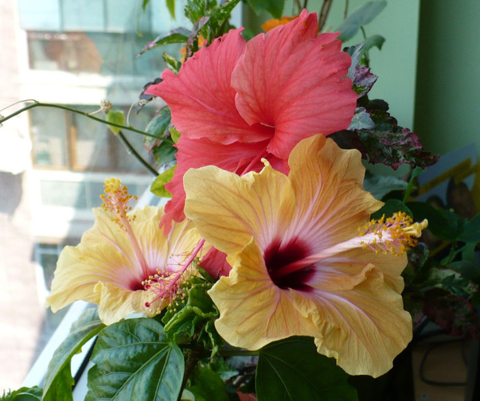P1340807