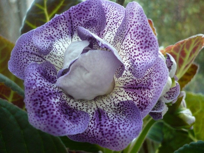 P1080743