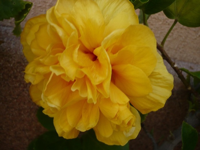 P1080769