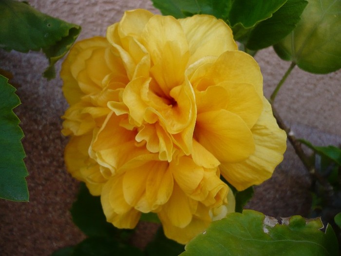P1080770
