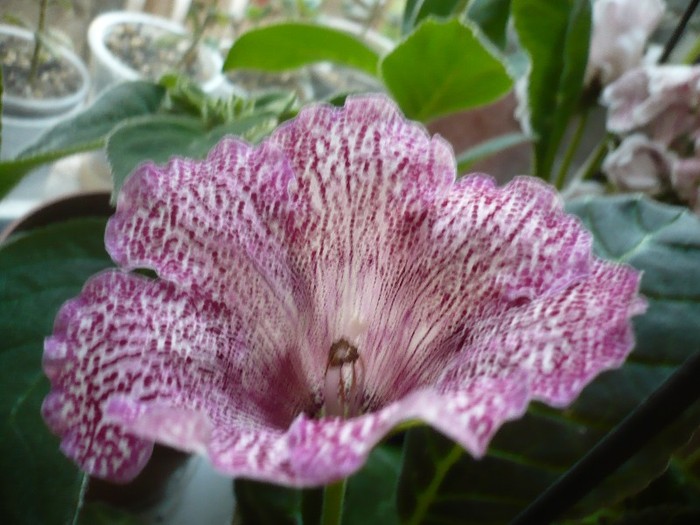 P1080798